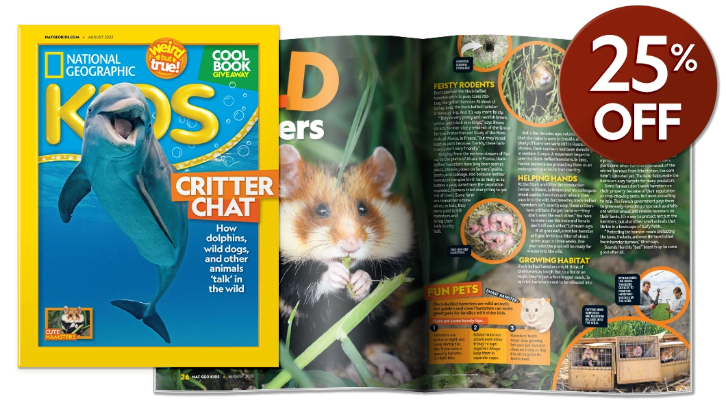 National Geographic Kids Magazine Subscriptions | National