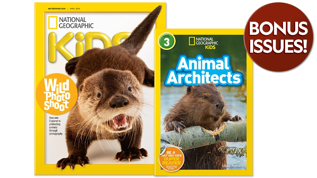 National Geographic Kids Book Bundles | National Geographic