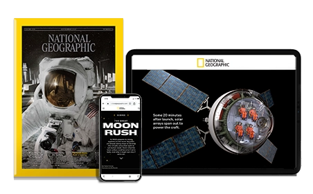 NGM Cover