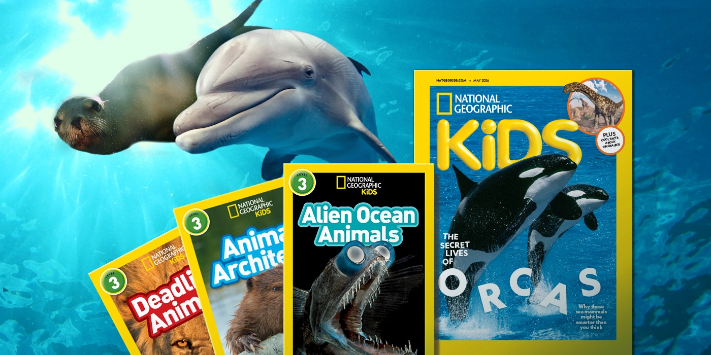 Subscribe to National Geographic Magazine