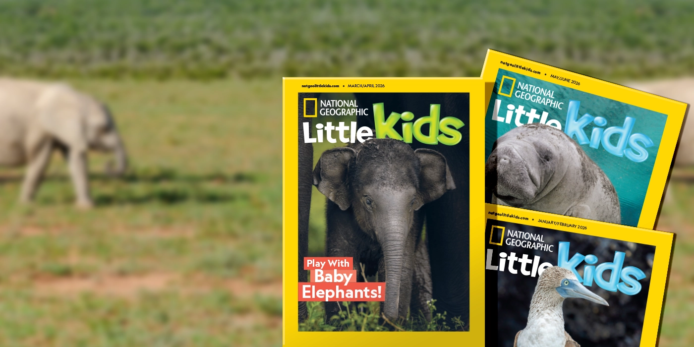 Subscribe to National Geographic Magazine