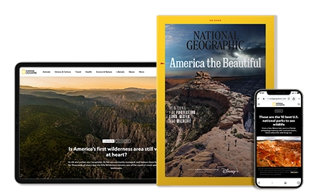 NGM Digital + print Cover