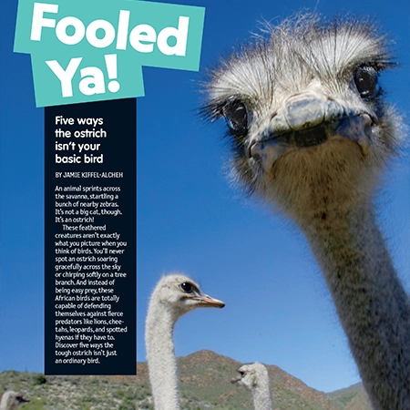 Kids Magazine sneak peek