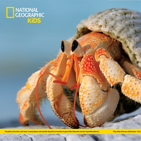 Kids Magazine sneak peek