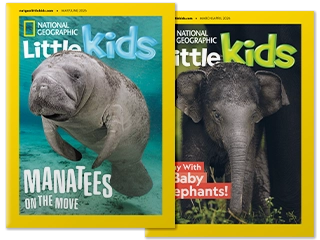 National Geographic Little Kids Magazine