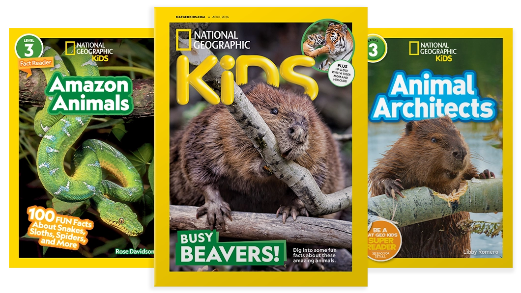National Geographic Kids magazine and book bundle