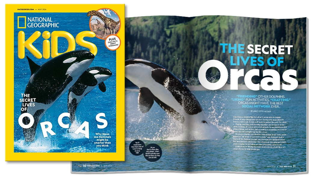 National Geographic Kids magazine