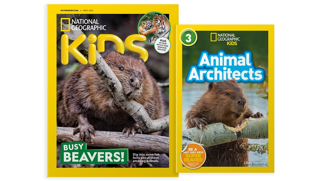 National Geographic Kids magazine and book bundle