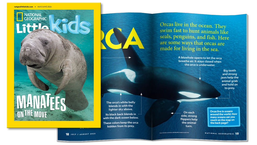 National Geographic Little Kids magazine