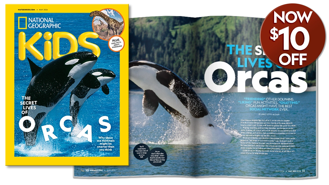 National Geographic Kids magazine