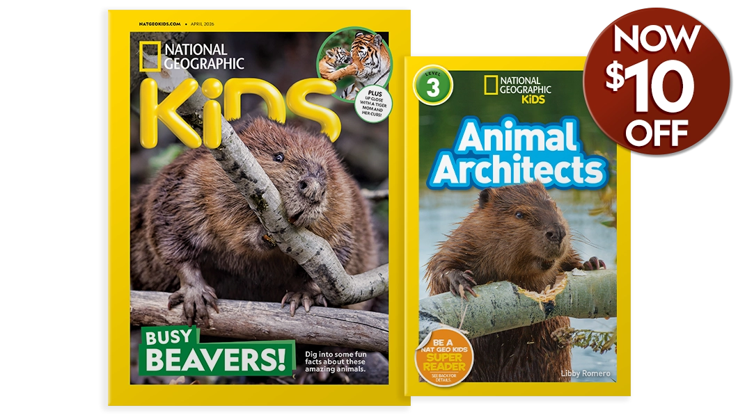 National Geographic Kids magazine and book bundle