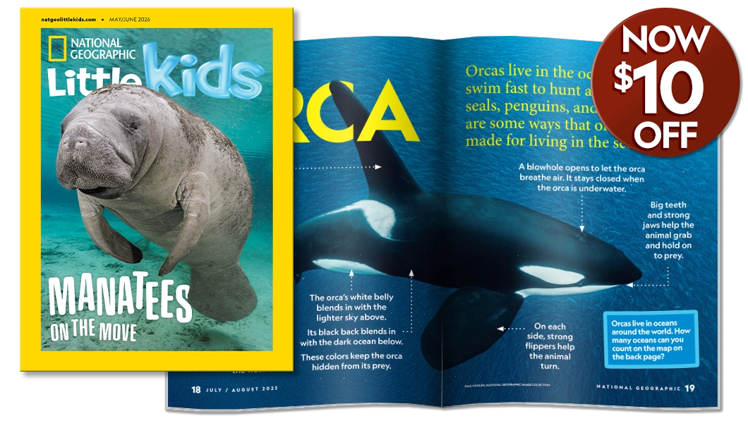 National Geographic Little Kids magazine