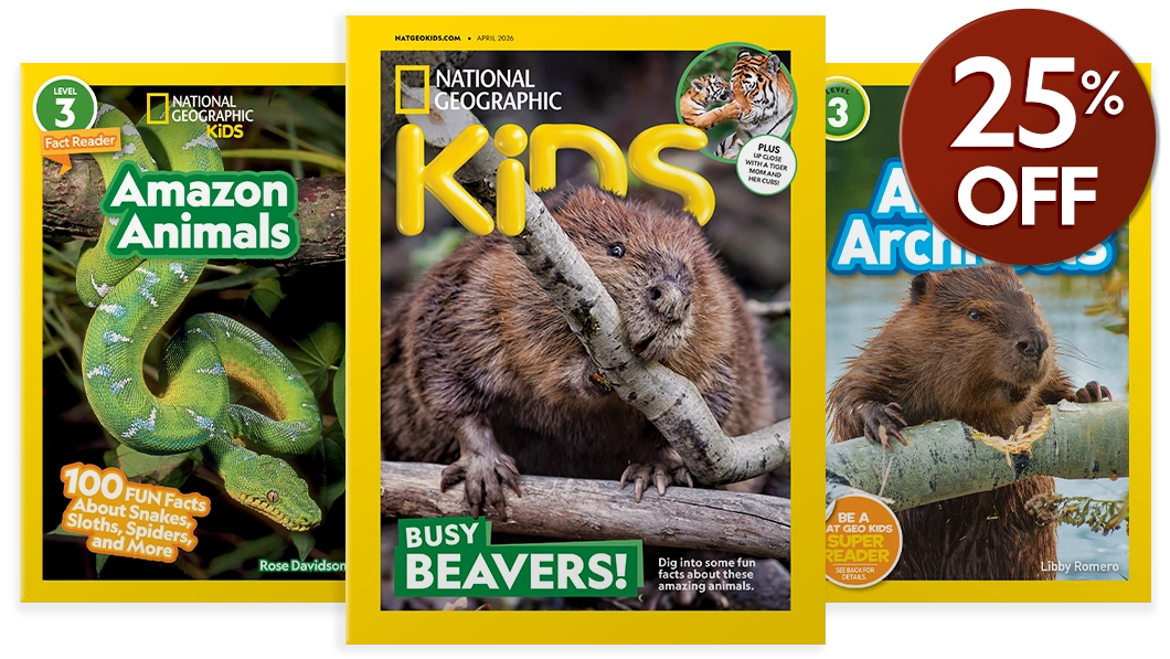National Geographic Kids magazine and book bundle