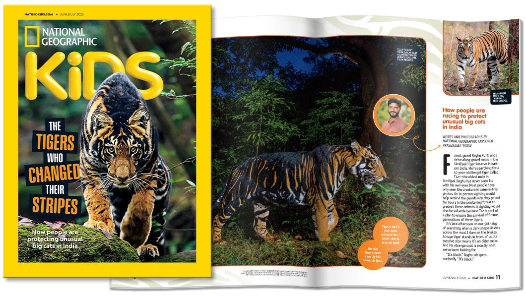 National Geographic Little Kids Magazine