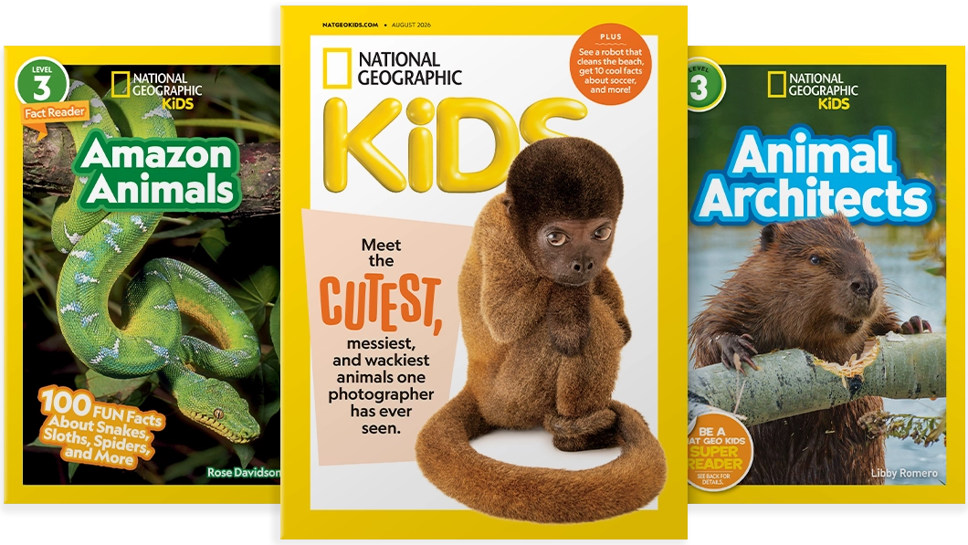 National Geographic Little Kids Magazine