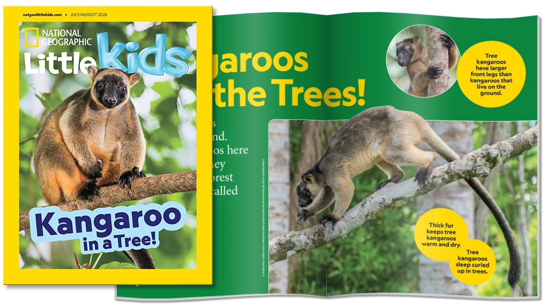 National Geographic Little Kids Magazine