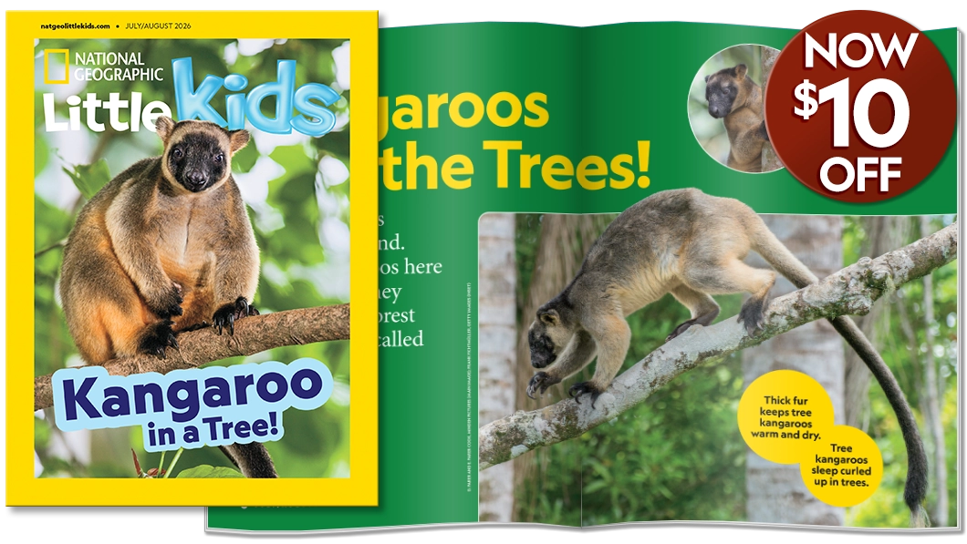 National Geographic Little Kids magazine