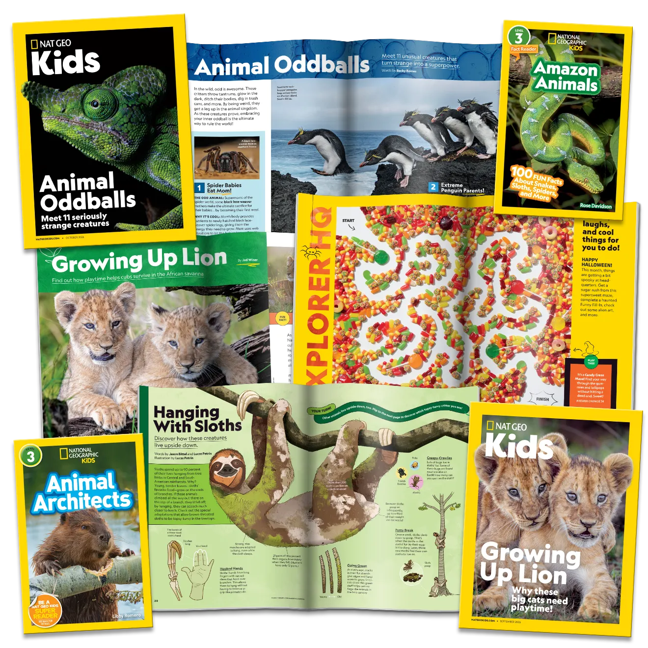 Nat Geo Kids magazine content