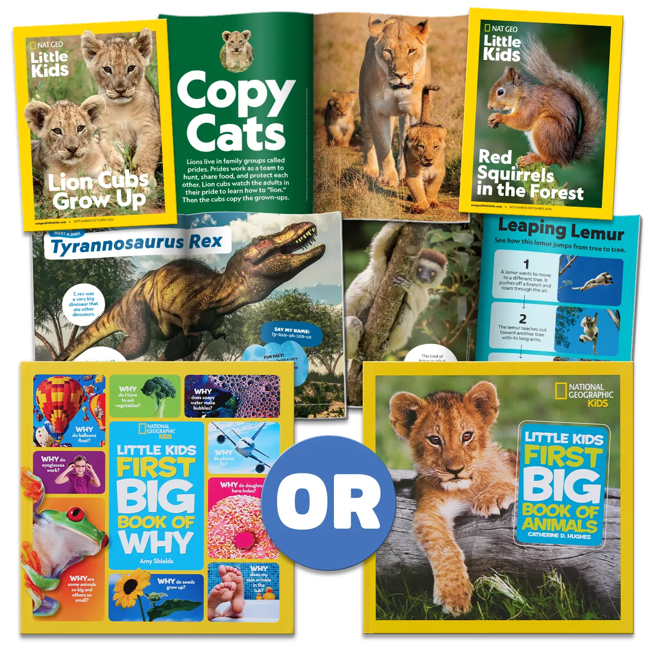 Nat Geo Kids magazine content