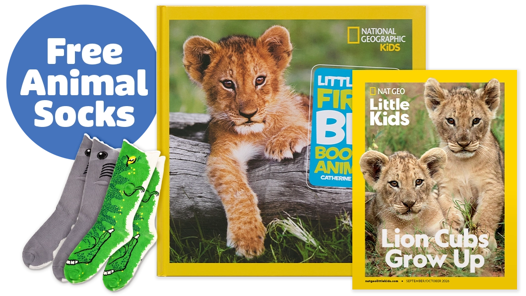 Nat Geo Kids Magazine