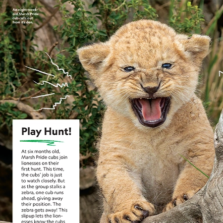Kids Magazine sneak peek