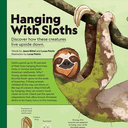 Kids Magazine sneak peek