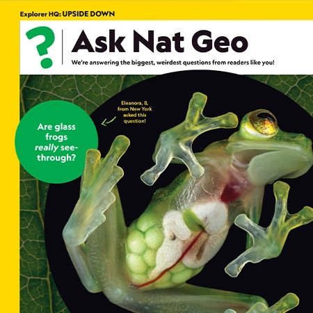 Kids Magazine sneak peek