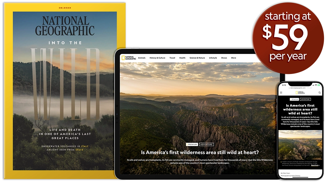 National Geographic Magazine Subscriptions | National Geographic - How Much Does A National Geographic Subscription Cost